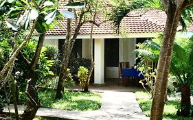 Diani Cottages